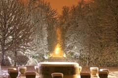 Ninge-la-Masa-Tacerii