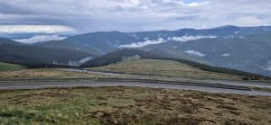 Transalpina